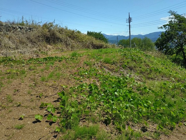 沼田市下川田町 298万円